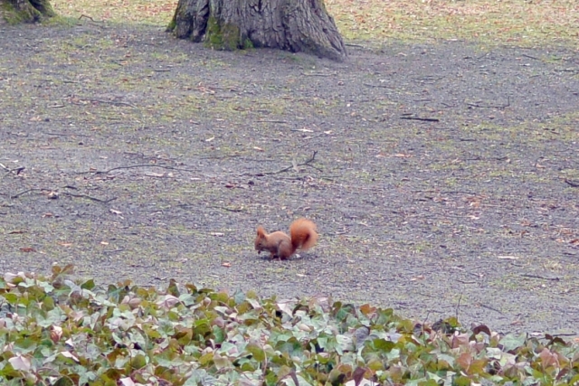 ワルシャワ風景写真