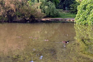 センピオーネ公園