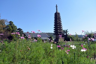 般若寺十三重石宝塔