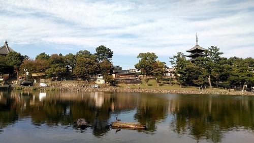 不退寺