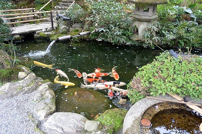 新善光寺　本堂前の庭園