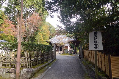 泉涌寺 楊貴妃観音堂