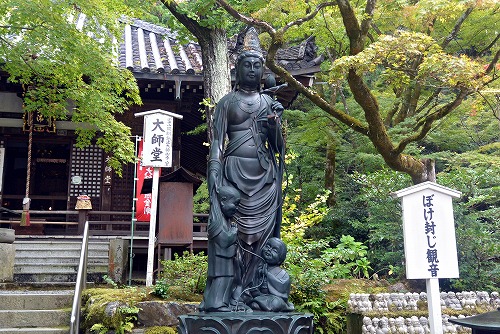 今熊野観音寺 ぼけ封じ観音