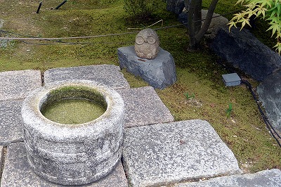 京都 勝林寺のフクロウ