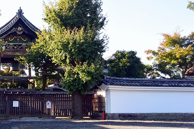 西本願寺 目隠塀