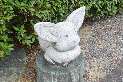 京都の五智山 蓮華寺
