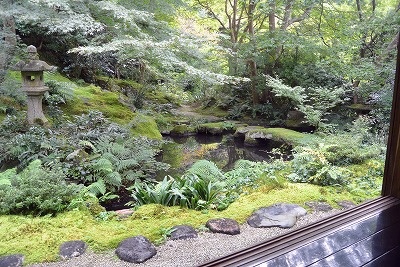 瑠璃光院の臥龍の庭