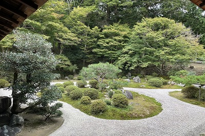 曼殊院門跡 書院庭園