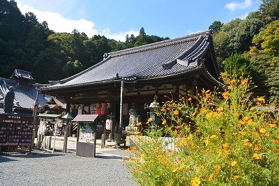 楊谷寺の歴史ある本堂